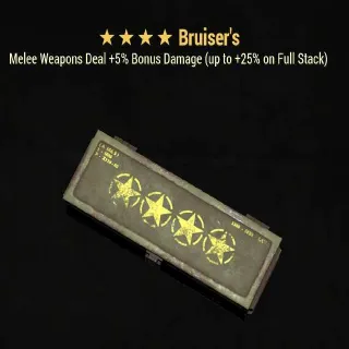 Bruiser's