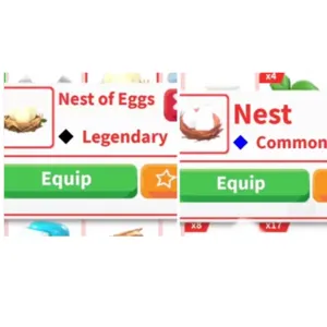 Nest of Eggs & Nest