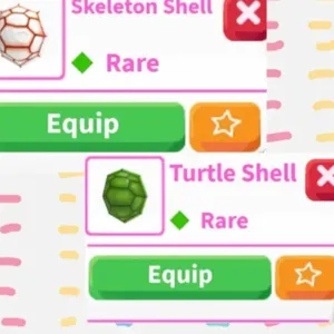 Skeleton & Turtle Shell