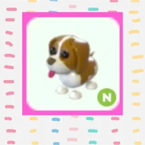 Brown Springer Spaniel N