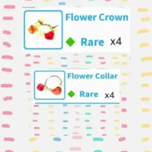 Flower Crown & Collar x4
