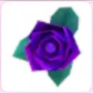 Accessories | x2 Purple Rose