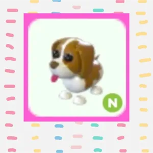 Brown Springer Spaniel