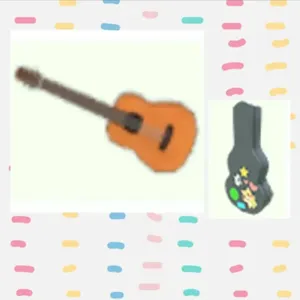Guitar & Guitar Case