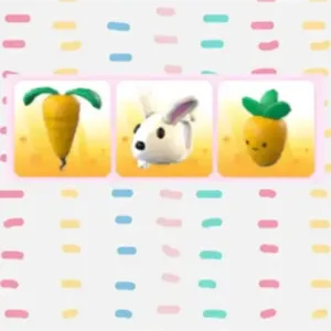 Carrot Spring Toys