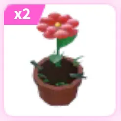 x2 Growing Flower Hat