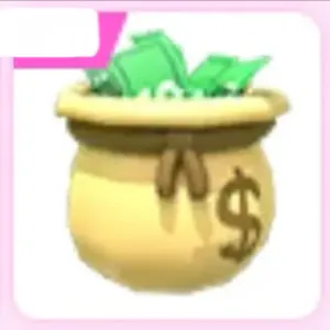 Money Bag