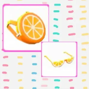 Orange Backpack/Glasses