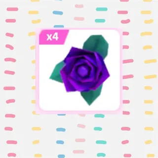 Purple Rose x4
