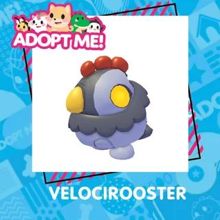 VELOCIROOSTER
