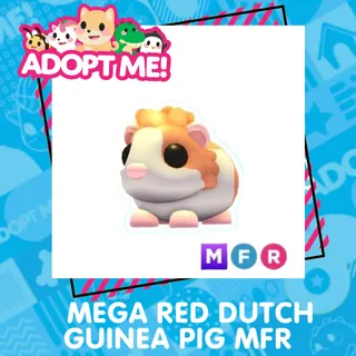 MEGA RED DUTCH GUINEAU PIG MFR