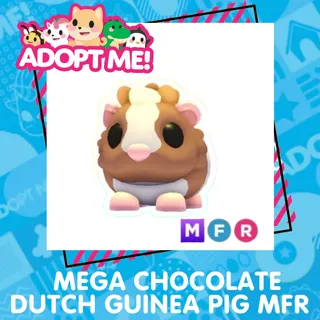 MEGA CHOCOLATE DUTCH GUINEA PIG MFR