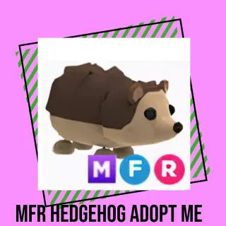 MFR Hedgehog  