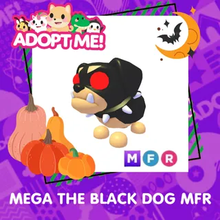 MEGA FLY RIDE THE BLACK DOG FR