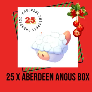 25 x Aberdeen Angus Box