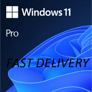 Windows 11 Pro