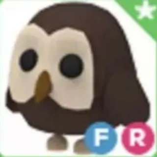 FR OWL