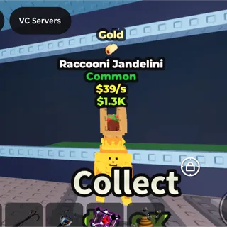 Gold Raccoon Jandel