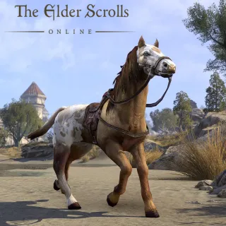 The Elder Scrolls Online - Sungold Bay Thoroughbred Mount