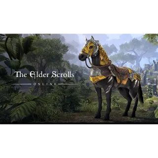 🔑🌐The Elder Scrolls Online -  Dragon Slayer Mount