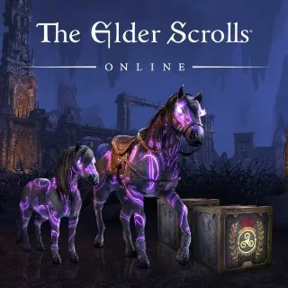 🔑🌐The Elder Scrolls Online [Xbox Series X/S & Xbox One]Noweyr Pack