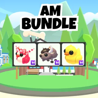 AM Bundle