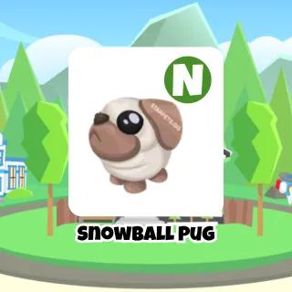 Snowball Pug