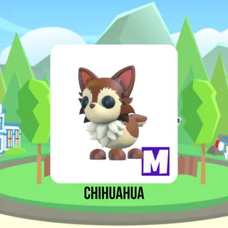 Chihuahua