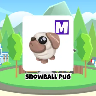 Snowball Pug