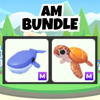 AM Bundle