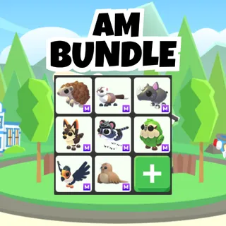 AM Bundle