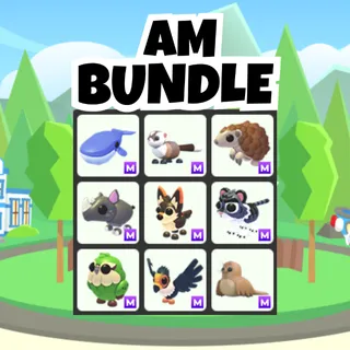 AM Bundle
