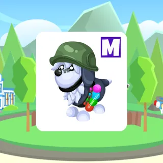 General Sheepdog