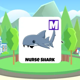 Nurse Shark