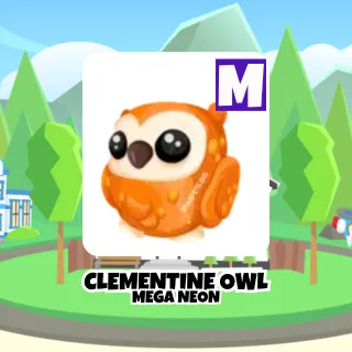 Clementine Owl