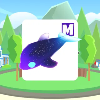 Glormy Dolphin