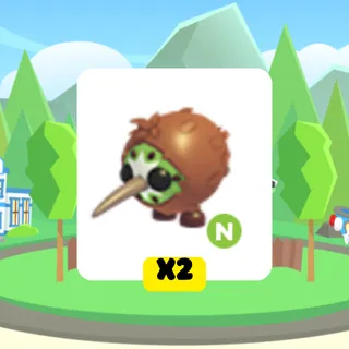 Kiwi Kiwi