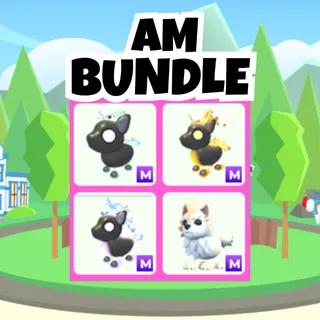 AM Bundle
