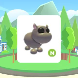 Hippo