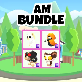 AM Bundle