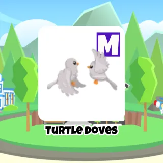Turtle Dove