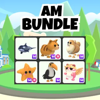 AM Bundle