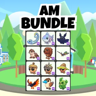 AM Bundle