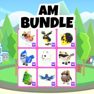 AM Bundle