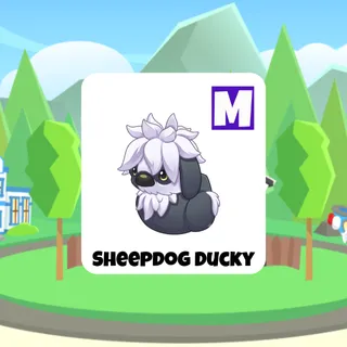 Sheepdog Ducky