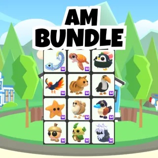 AM Bundle
