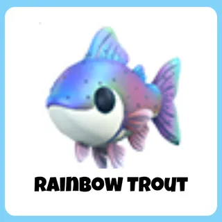 Rainbow Trout
