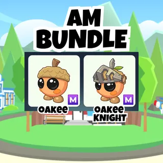 AM Bundle