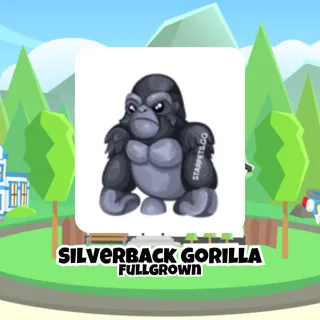 Silverback Gorilla