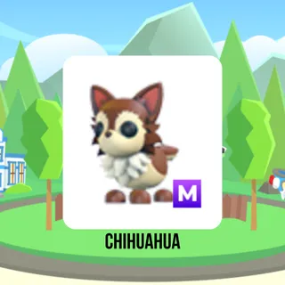Chihuahua